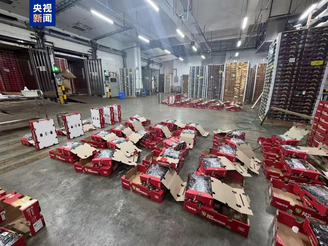 “断崖式”降价！价格还会走低！网友：等不及了