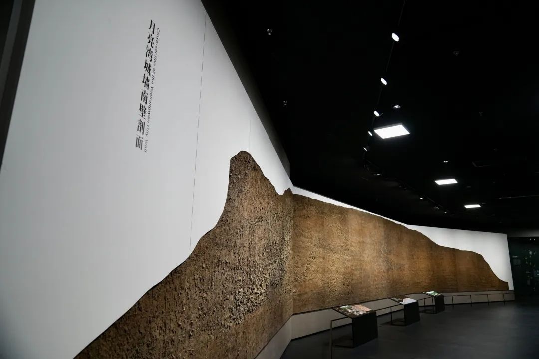 三星堆-金沙遗址考古多项成果集中披露→ 三星堆-金沙遗址考古多项成果集中披露→