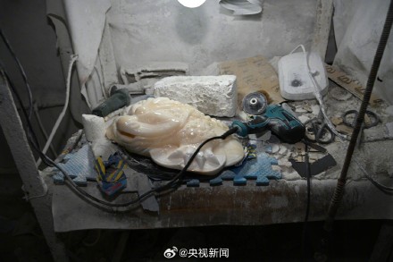 8人卖濒危野生动物制品被抓