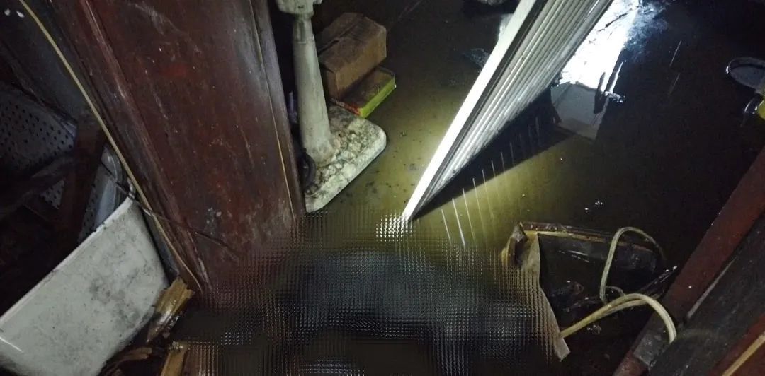 @爱狗人士：家中起火一片狼藉！9只“汪星人”何去何从？