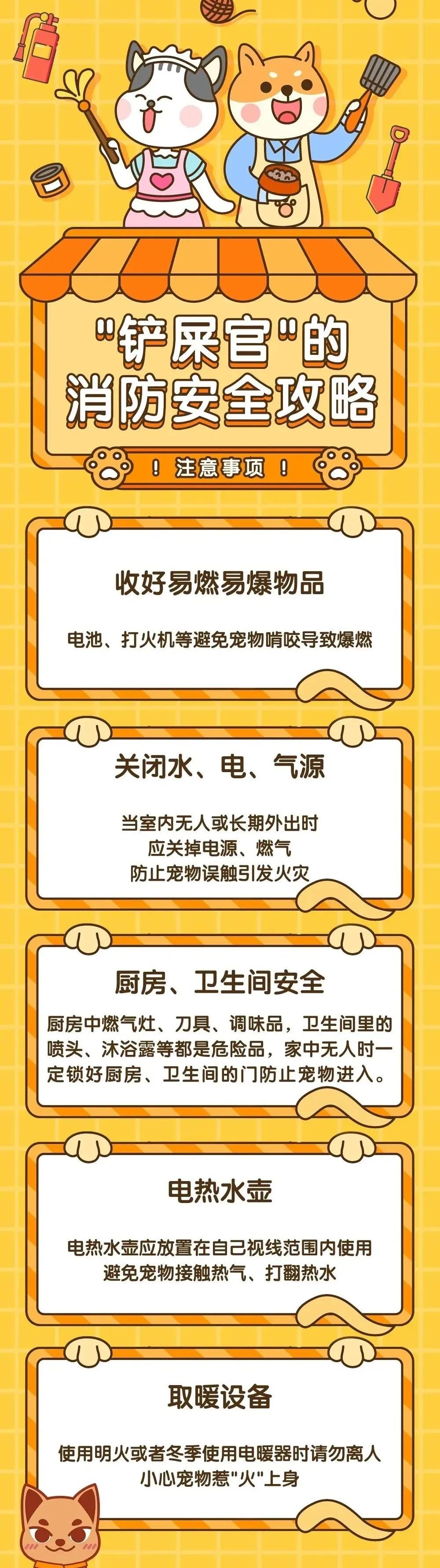 @爱狗人士：家中起火一片狼藉！9只“汪星人”何去何从？