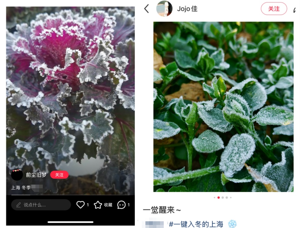 冷冷冷!上海下过雪了?!警惕:高血压就诊激增,流感也正在影响全国 冷冷冷!上海下过雪了?!警惕:高血压就诊激增,流感也正在影响全国