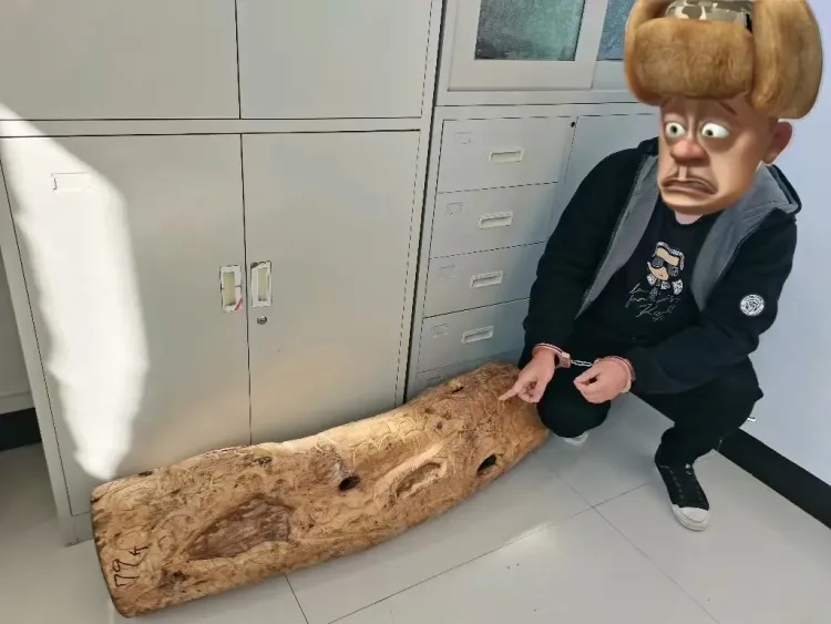 4名“光头强”,被莆田警方抓获 4名“光头强”,被莆田警方抓获