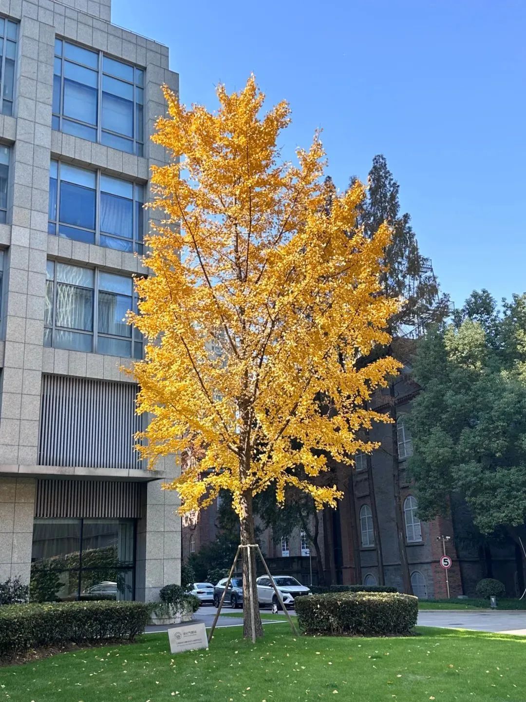 上海发布空气重污染黄色预警，启动Ⅲ级应急响应！明天仍有有轻度霾，注意防护