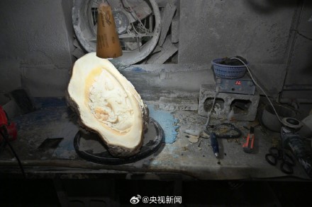 8人卖濒危野生动物制品被抓