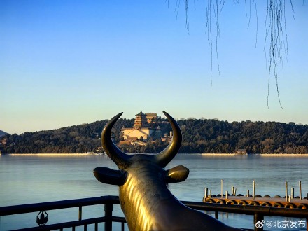 冬日之韵，颐和园美景如画