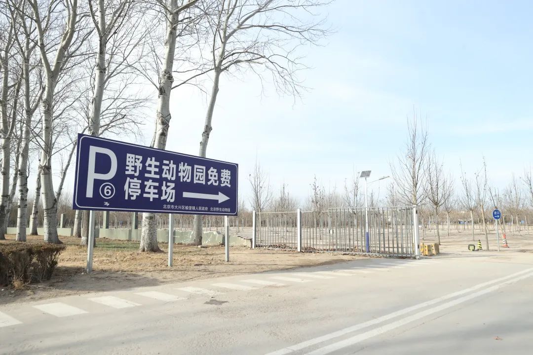 最新消息！北京野生动物园将有大动作