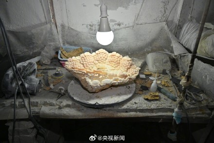 8人卖濒危野生动物制品被抓