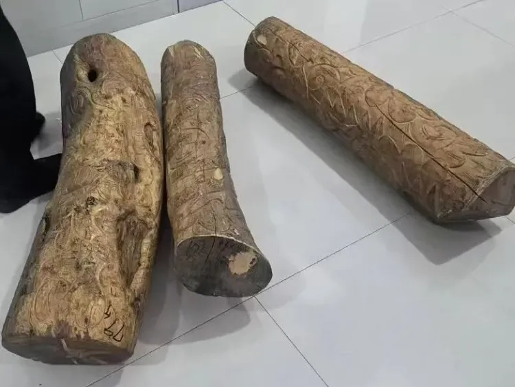 4名“光头强”,被莆田警方抓获 4名“光头强”,被莆田警方抓获