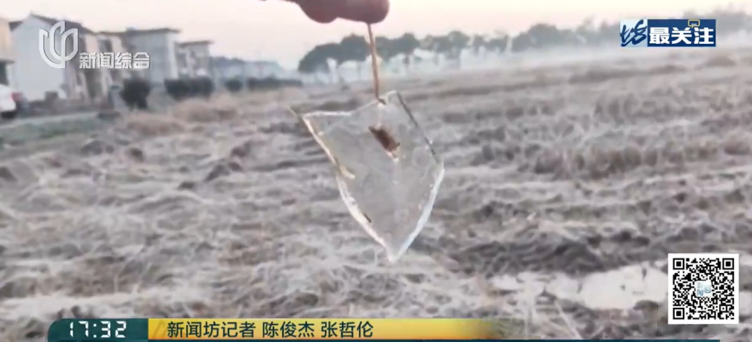 冷冷冷!上海下过雪了?!警惕:高血压就诊激增,流感也正在影响全国 冷冷冷!上海下过雪了?!警惕:高血压就诊激增,流感也正在影响全国