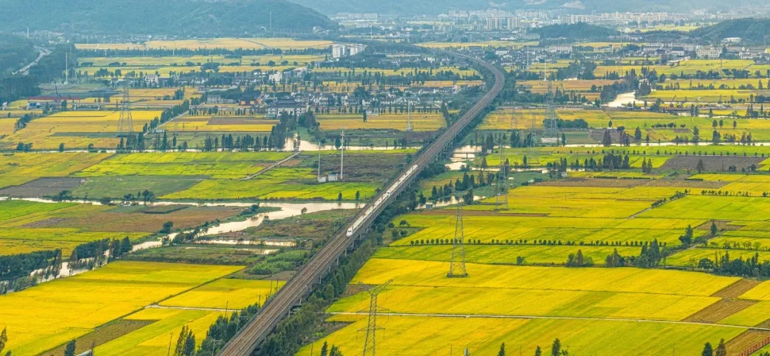 2024年陕西省粮食总产量1352.29万吨 2024年陕西省粮食总产量1352.29万吨