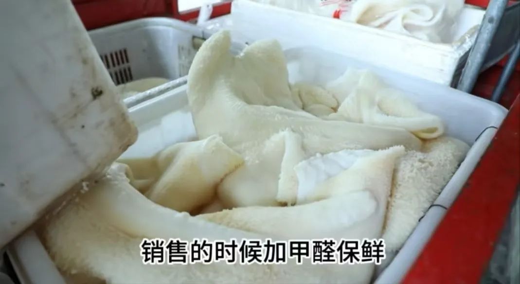 四川警方破获一起甲醛泡毛肚案,涉案金额超200万! 四川警方破获一起甲醛泡毛肚案,涉案金额超200万!