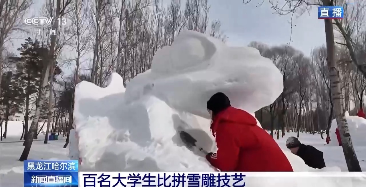 太阳岛雪雕上新了!百名大学生参赛作品出炉 太阳岛雪雕上新了!百名大学生参赛作品出炉