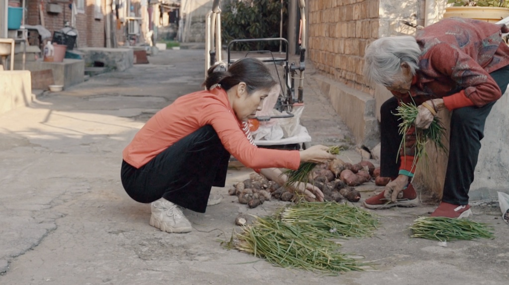 一个女人和她的38个孩子