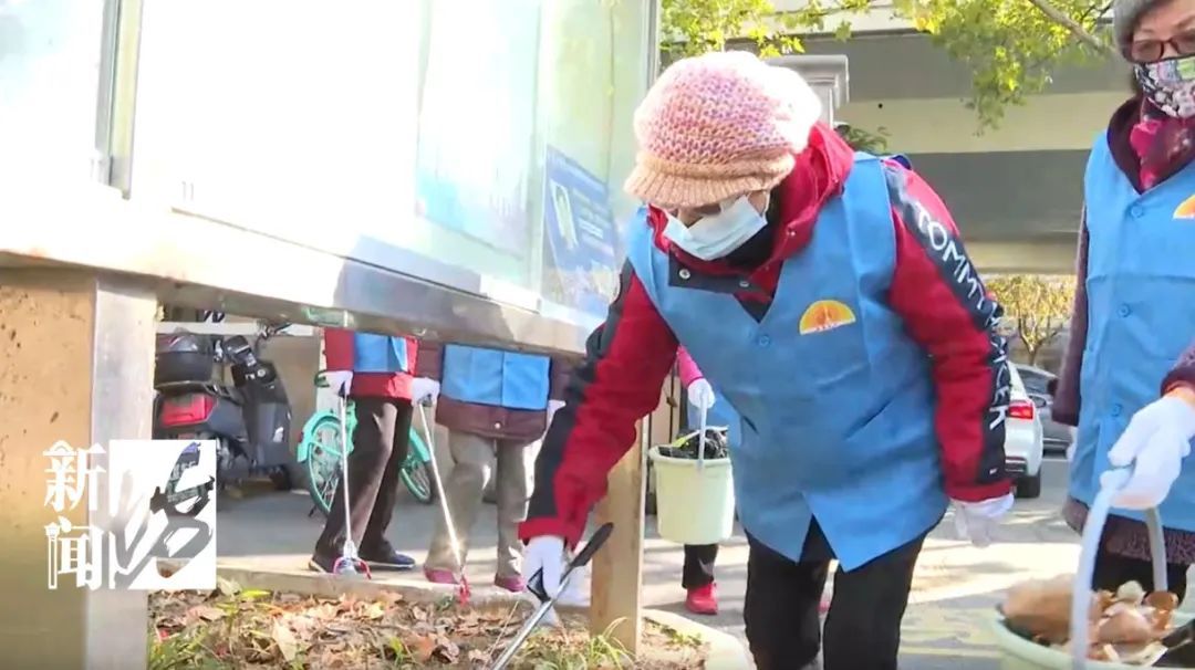 上海人怒了,12月还被蚊子吵！今天10万人出动灭蚊！专家:千万别用杀虫剂...