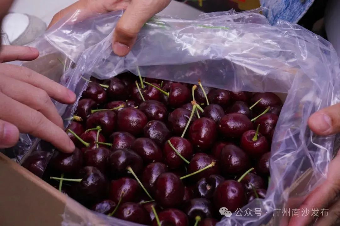 “断崖式”降价！超万吨车厘子到达广州！还会再降……