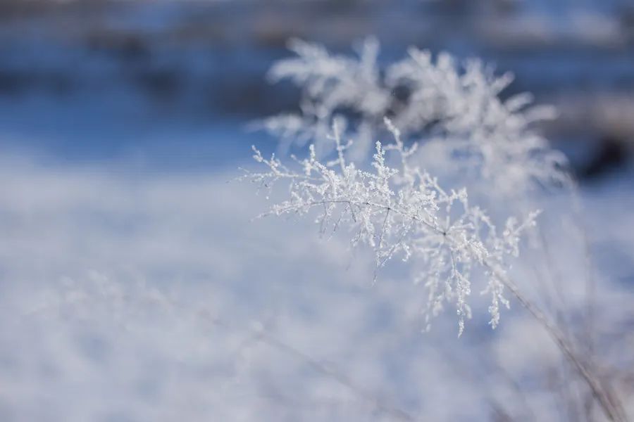 冬季感冒咳嗽不用愁，7个食疗良方来帮忙