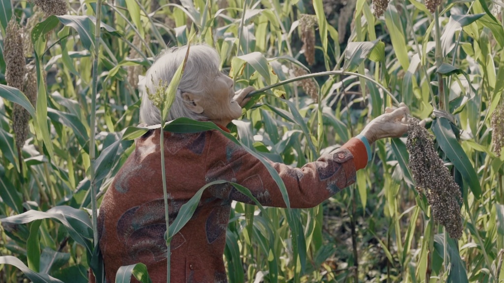 一个女人和她的38个孩子