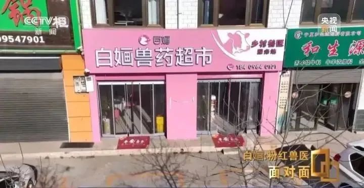 知名网红女兽医自曝患上“布病” 已三次住院! 知名网红女兽医自曝患上“布病” 已三次住院!