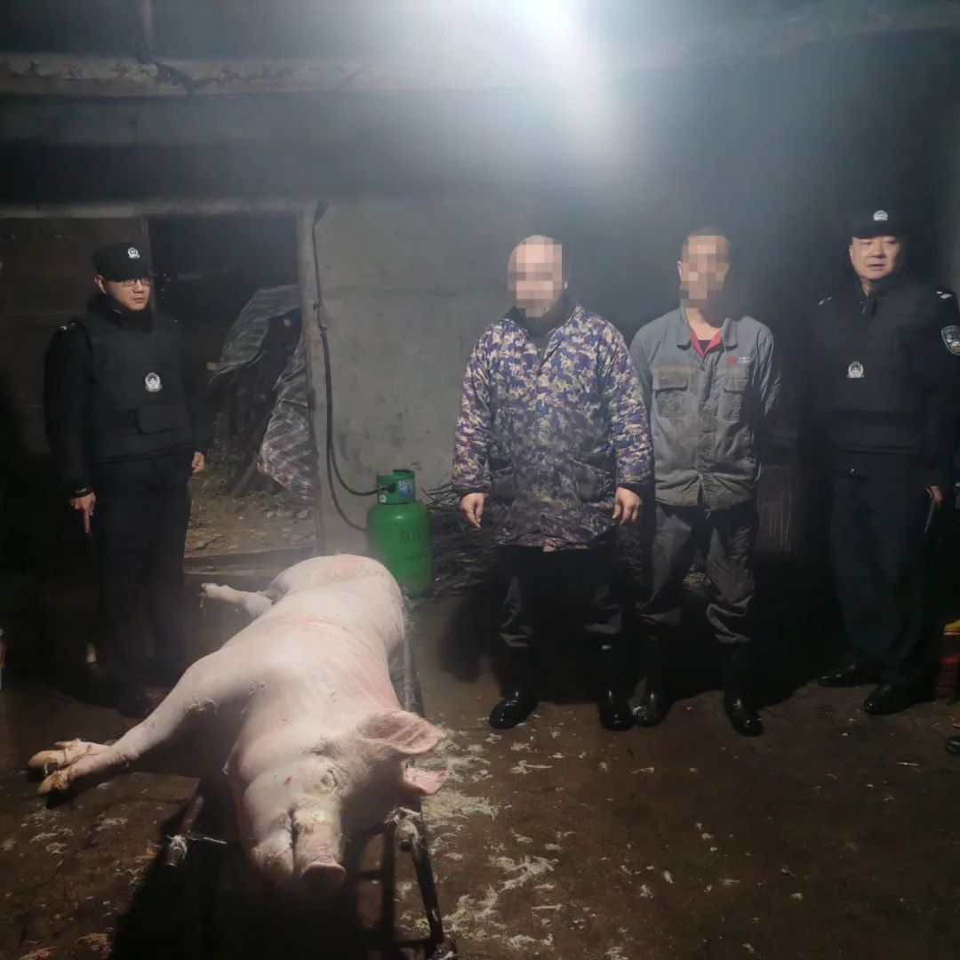 凌晨突击!株洲一“白板肉”销售窝点被端 凌晨突击!株洲一“白板肉”销售窝点被端