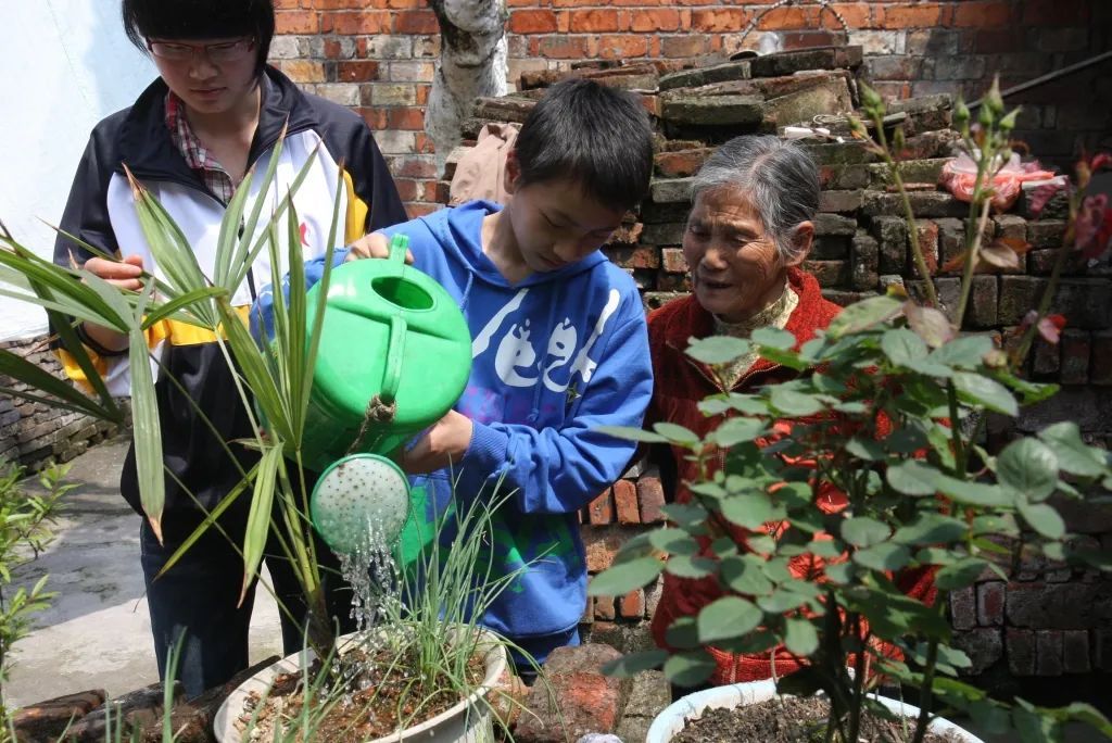 一个女人和她的38个孩子