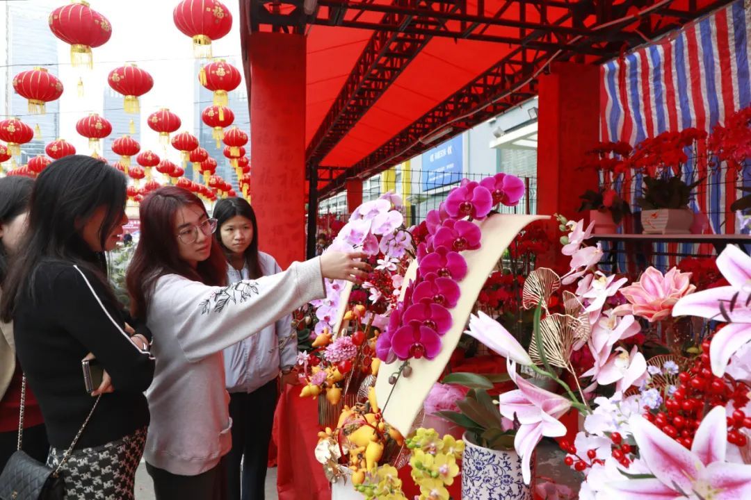 广州11区迎春花市定档 有新调整→ 广州11区迎春花市定档 有新调整→