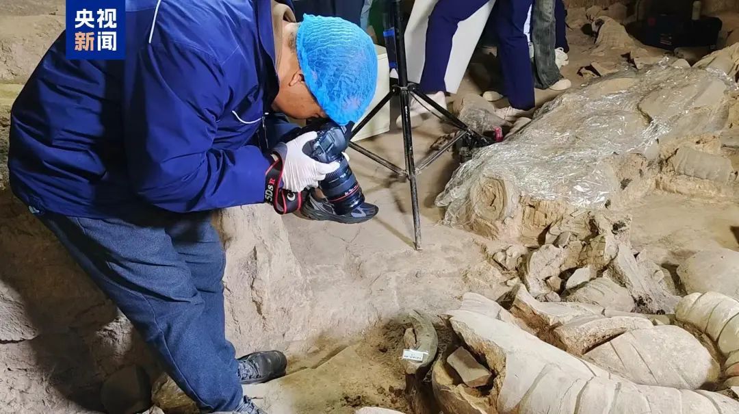 秦兵马俑二号坑发掘出罕见“将军俑” 专家推测为“单元最高军事指挥官”！