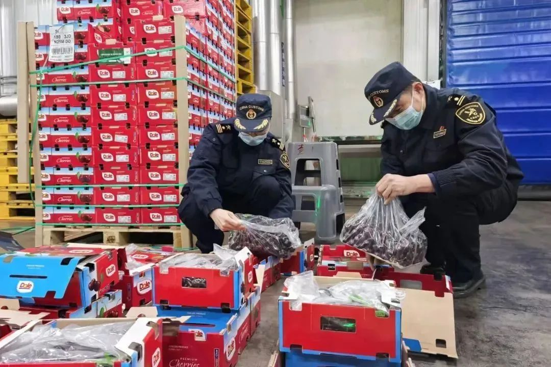 “断崖式”降价！超万吨车厘子到达广州！还会再降……