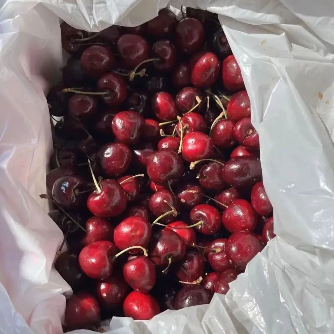 “断崖式”降价！超万吨车厘子到达广州！还会再降……