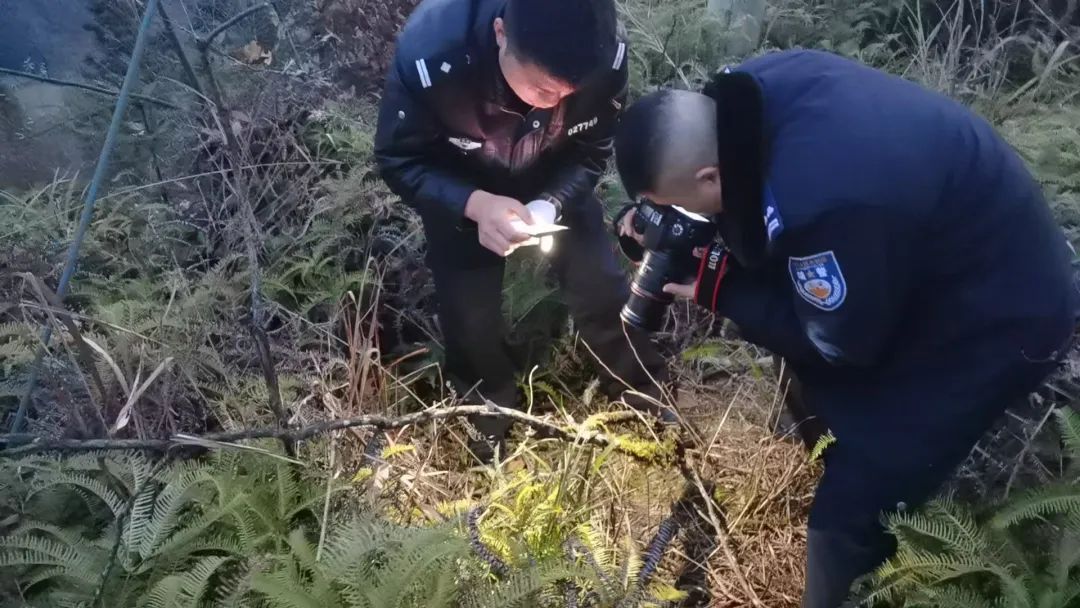 《我是刑警》！没错，我们是刑警！