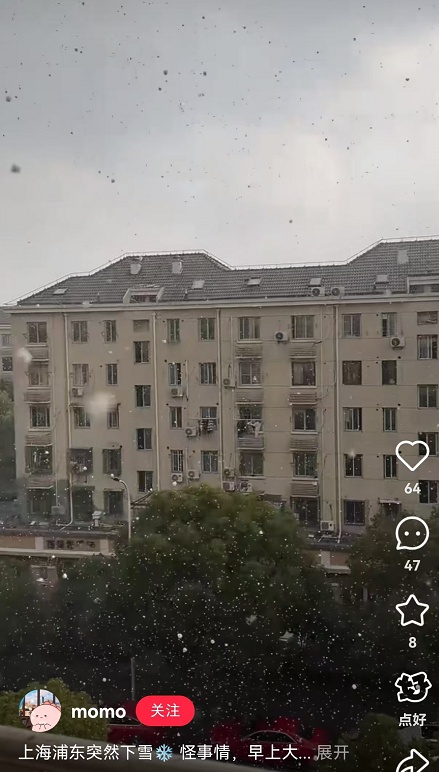 上海下雪了？刚刚，气象局回应！冷空气控场，网友：穿少了！新台风或将生成……