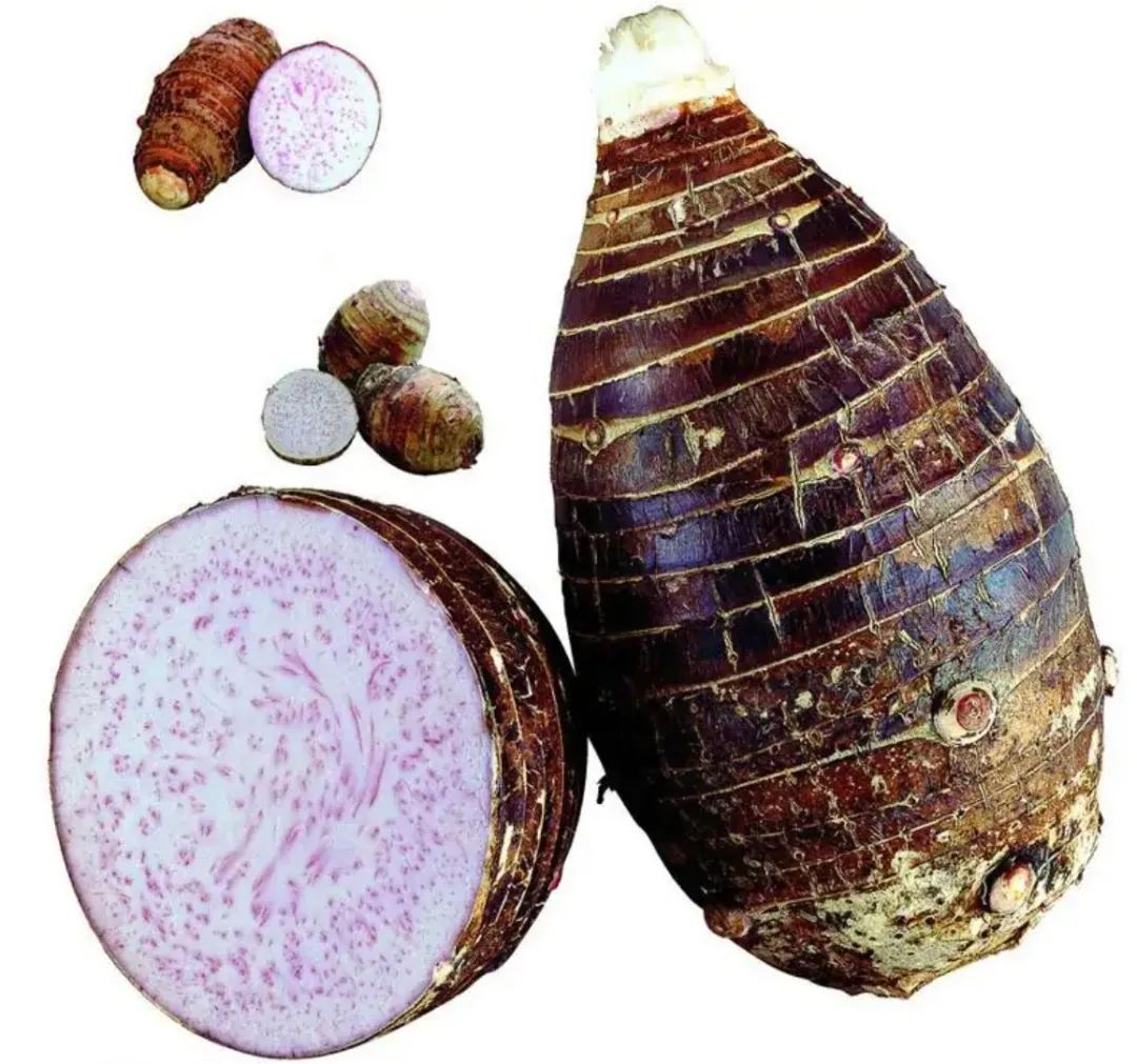 劝你多吃芋头的理由，1个就够了！