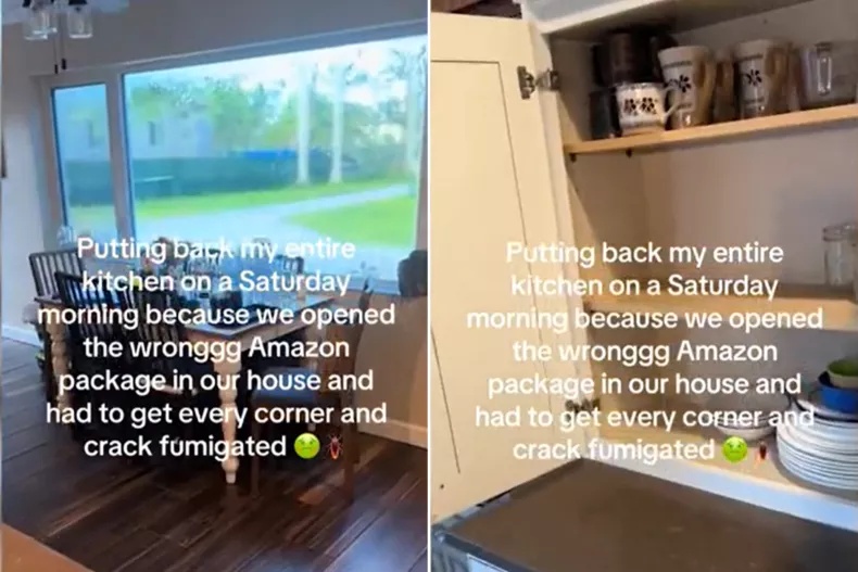 收到快递后有人家里出现蟑螂，有人开始上吐下泻，快递盒可能远比你想象的脏!