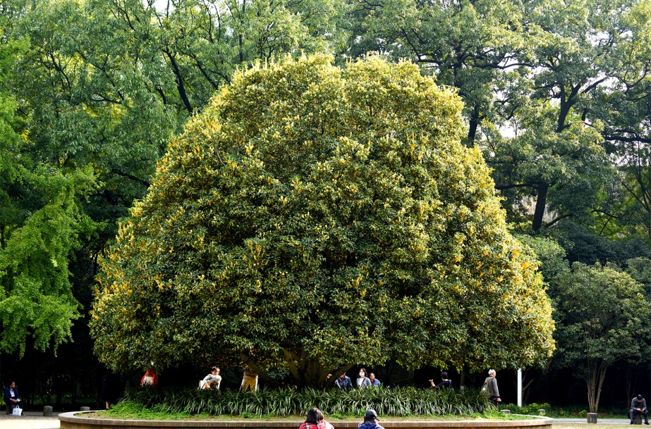 +133!最老1800岁了! +133!最老1800岁了!