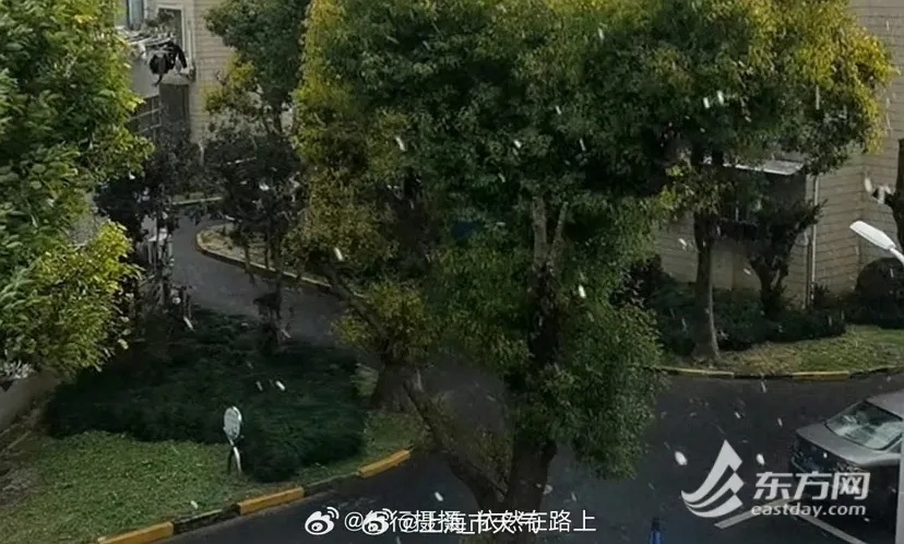 上海今天下雪了？气象局回应了！冷空气要来，还有新台风或将生成