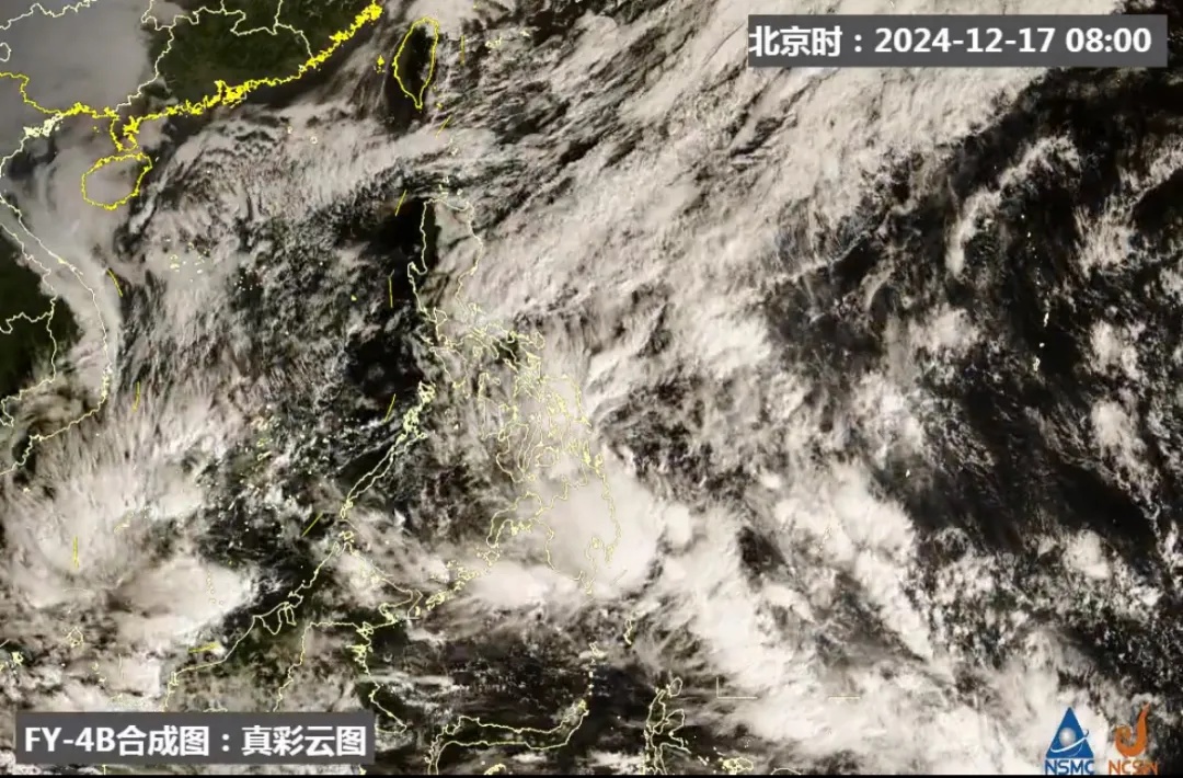 上海下雪了？刚刚，气象局回应！冷空气控场，网友：穿少了！新台风或将生成……