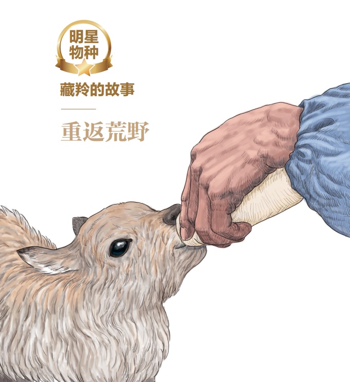 蝌学荐书 | 雪豹、黑颈鹤、藏羚...一起来沉浸式体验高原上的生命状态！