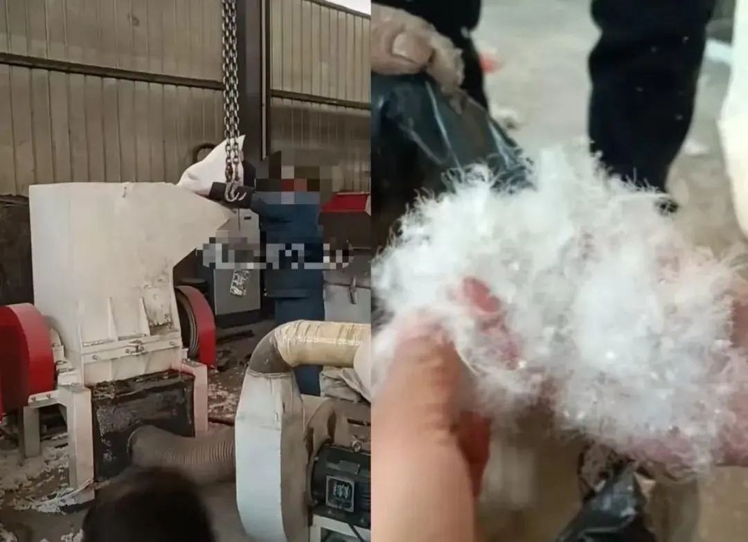 二手羽毛球变“一手羽绒服” 二手羽毛球变“一手羽绒服”