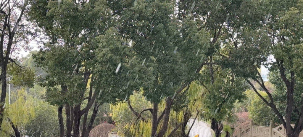 冰雹、雪还是冰粒？上海气象局回应