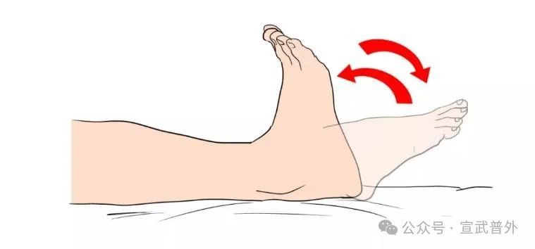 踝泵运动:给下肢血液来个“加速跑”! 踝泵运动:给下肢血液来个“加速跑”!