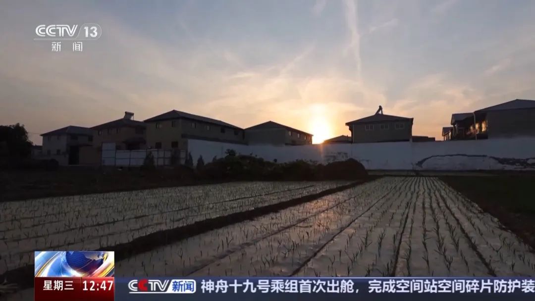 “供他吃住他却拐卖我儿子” ！余华英案新增犯罪事实曝光