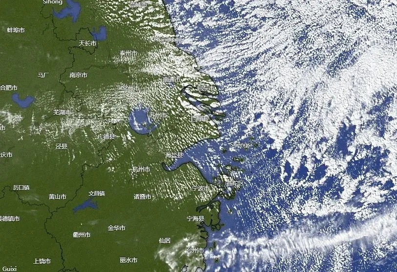 上海今天下雪了？气象局回应了！冷空气要来，还有新台风或将生成