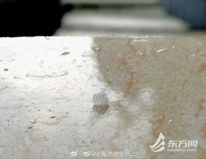 上海今天下雪了？气象局回应了！冷空气要来，还有新台风或将生成