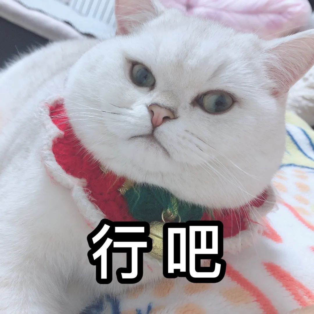 刚刚,青岛多地迎来降雪!网友沸腾了:今年冬天第一场大雪 刚刚,青岛多地迎来降雪!网友沸腾了:今年冬天第一场大雪