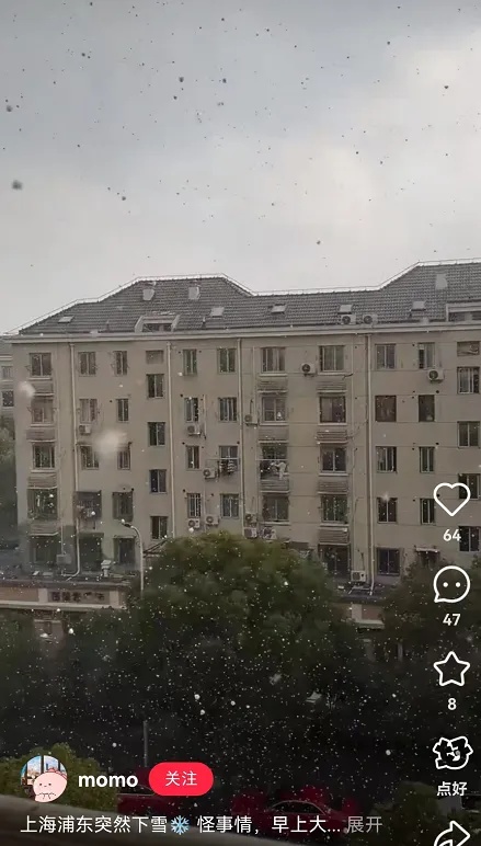 上海今天下雪了？气象局回应了！冷空气要来，还有新台风或将生成
