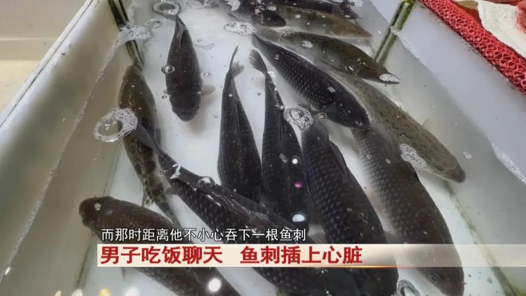 男子吃饭聊天，鱼刺插上心脏！医生提醒！警惕！严重可致命！