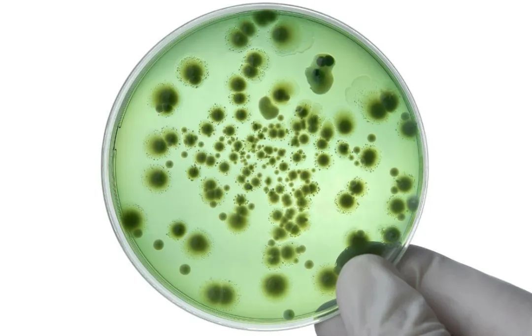 收到快递后有人家里出现蟑螂，有人开始上吐下泻，快递盒可能远比你想象的脏!