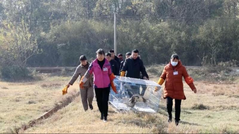 江西九江救助放飞4只国家二级保护动物