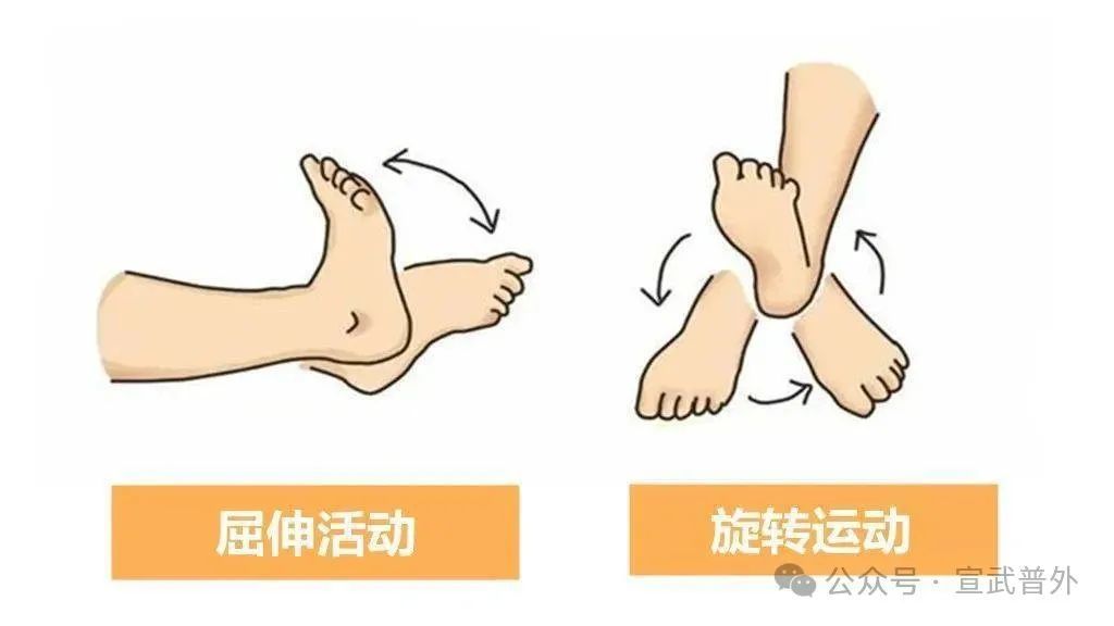 踝泵运动:给下肢血液来个“加速跑”! 踝泵运动:给下肢血液来个“加速跑”!
