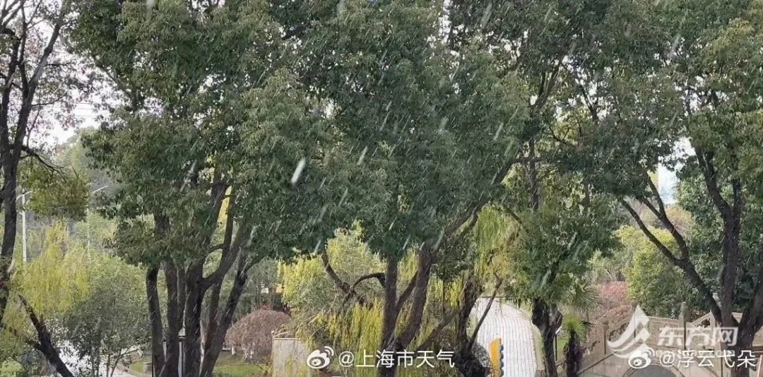 上海今天下雪了？气象局回应了！冷空气要来，还有新台风或将生成